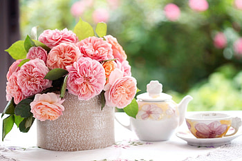 *** Flowers ***, nature, flowers, roses, flower HD wallpaper