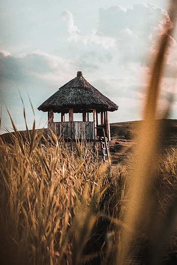 Grass, Building, Miscellanea, Miscellaneous, Wood, Wooden, Hut HD phone wallpaper