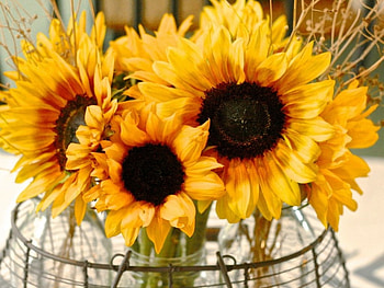 Beautiful Bouquet of Sunflowers, autumn, vase, flowers, sunflowers HD wallpaper