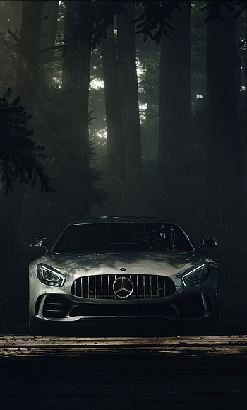 Mercedes Benz Amg GT Forest HD phone wallpaper