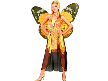 Butterfly, ladybutterfly, cool, beautiful, costume HD wallpaper