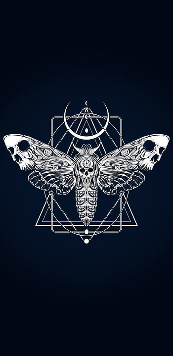 Butterfly/moth Blue 2, polilla, moth, butterfly, mariposa HD phone wallpaper