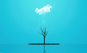 Minimal Nature Tree , minimalism, minimalist, tree, artist, artwork, digital-art HD wallpaper