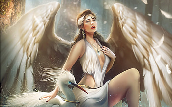 Angel, women, girl, fantasy HD wallpaper