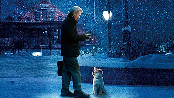 Hachi: A Dog& HD wallpaper