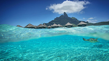 Bora Bora windows , Tropical paradise, Crystal clear waters, Exotic destination HD wallpaper
