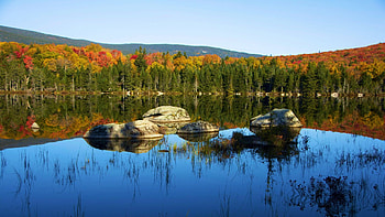Sandy Stream Pond, Baxter State Park, Maine, fall, autumn, trees, colors, water, forest, reflections, usa, landscape HD wallpaper