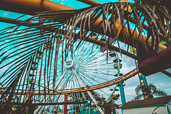 Cities, Leaves, Palm, Ferris Wheel, Attraction HD wallpaper