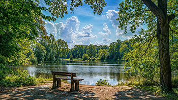 Serene Summer Park Escape - Nature, summer, park HD wallpaper