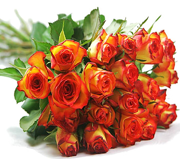 Fire orange, roses, green, flowers, bunch, orange HD wallpaper