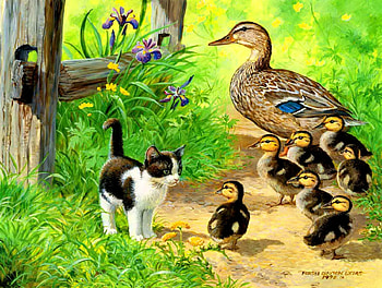 Meeting in the yard, kitten, kitty, cute, spring, nice, day, yard, painting, fence, adorable, friends, sweet, duck, cat, beautiful, fresh, fluffy, meet, summer, family, pretty, freshness, flowers, lovely, duckling HD wallpaper
