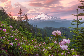 Mountain, clouds, flowers, sky, nature HD wallpaper