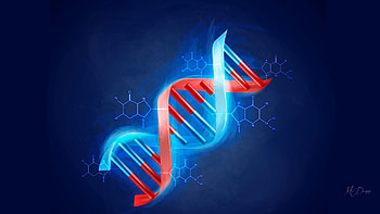 DNA, science, life, ancestry, heritage HD wallpaper