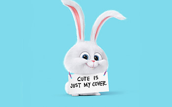 The Secret Life Of Pets Rabbit, the-secret-life-of-pets, movies, animated-movies, cartoons, rabbit HD wallpaper