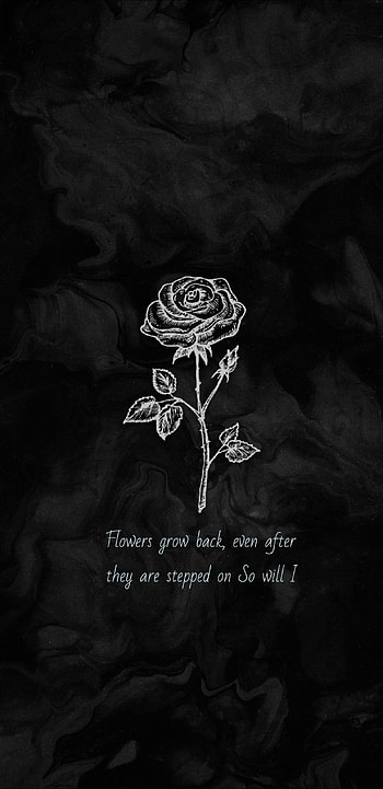 Flowers, color HD phone wallpaper