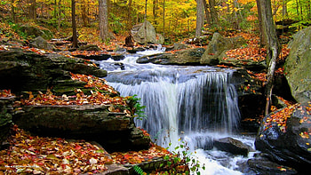 Autumn Waterfall, leaves, forest, river, fall, colors, trees HD wallpaper