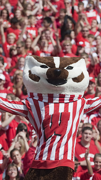 Wisconsin Badgers , Summer preview Wisconsin, Wisconsin badgers 3666x2263, Madison HD phone wallpaper
