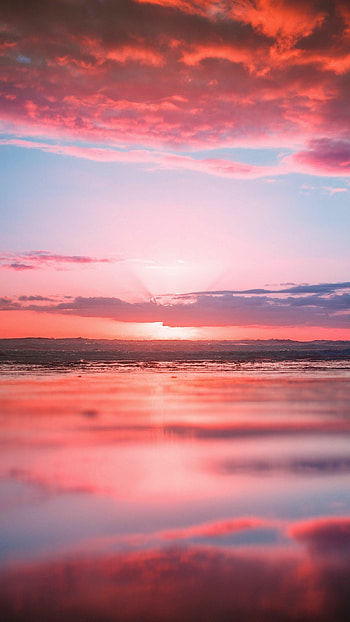 Pink sunset enchantment, Soft pastels, Delicate beauty, Romantic ambiance HD phone wallpaper