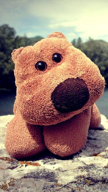 Cute, Soft Toy, Puppy Dog HD phone wallpaper