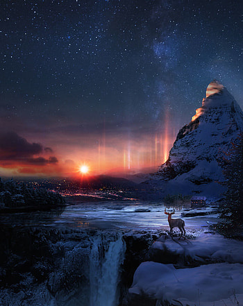Winter, Art, Night, Snow, Deer HD phone wallpaper