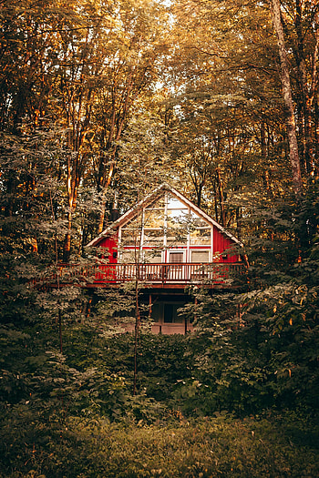 Nature, Trees, Bush, Building, House HD phone wallpaper