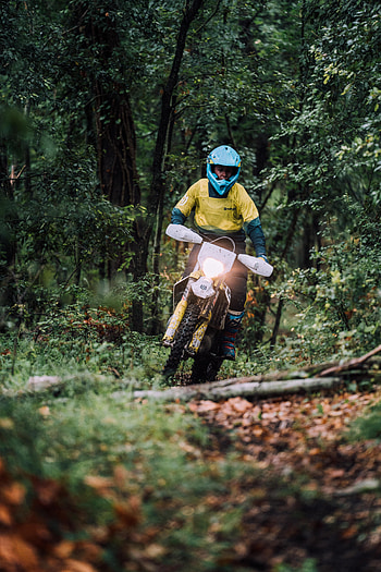 Motorcycles, Forest, Movement, Traffic, Motorcyclist, Helmet, Motorcycle, Bike HD phone wallpaper