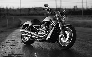 Harley-Davidson, Biker's dream, Stylish and sleek, Motorcycle lifestyle HD wallpaper