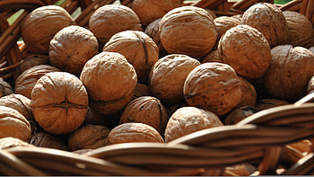 Walnuts (Food), Healthy snack, Nutritional powerhouse, Culinary ingredient HD wallpaper