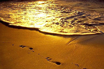 Footprints on Beach, footprints, beauitiful, , sunset, beach HD wallpaper
