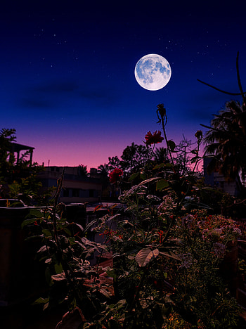 Charming night , atmosphere, sky HD phone wallpaper