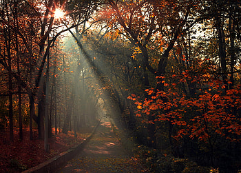 ., nature, lovely, pretty, nice HD wallpaper