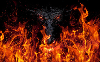 Fire Dragon HD wallpaper