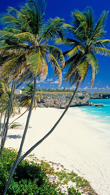 Sunny beach in Barbados, Tropical paradise, Relaxing vibes, Beach HD phone wallpaper
