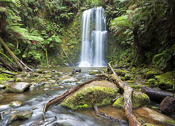 Beautiful Waterfalls, waterfalls, nature, plants, forest HD wallpaper