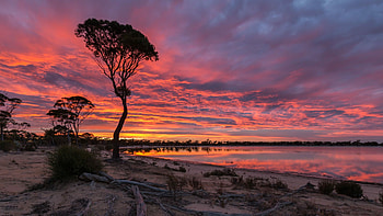 Hyden, Australia HD wallpaper
