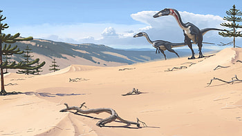 allosaurus, sand, hills, wood, dinosaurs, trees, carnivorous HD wallpaper