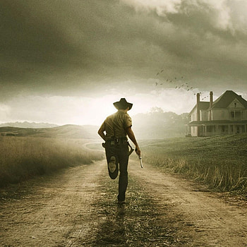The Walking Dead iPad HD phone wallpaper