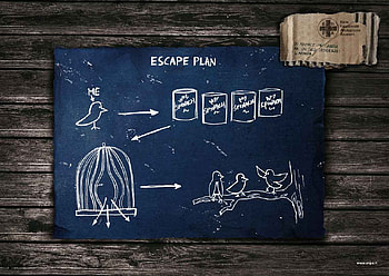 Escape Plan OF Bird HD wallpaper