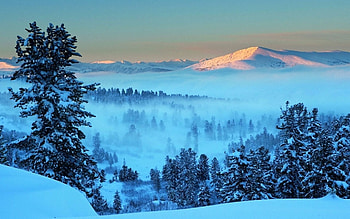 Landscape, Nature, Trees, Snow, Dawn, Mountain, Shine, Light, Fog, Morning, Silence, Dahl, Distance, Ate, Awakening HD wallpaper