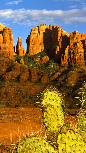 Arizona desert, Android HD phone wallpaper