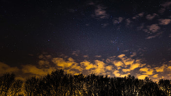 Nature, Trees, Night, Clouds, Starry Sky HD wallpaper