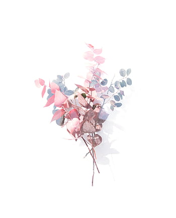 Delicate pastel eucalyptus branches arranged on a white background, creating a minimalist floral composition. HD phone wallpaper