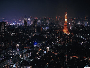 Landscape, Cities, Night HD wallpaper