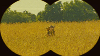 Wes Anderson HD wallpaper