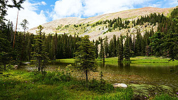 Lower Lamphear Lake, Gunnison County, Colorado, clouds, trees, sky, forest, mountains, usa HD wallpaper