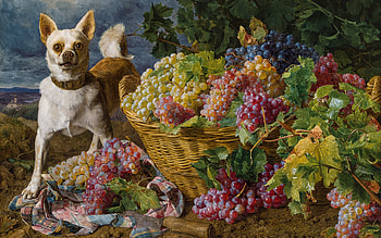 Grapes and a dog, dog, painting, art, pictura, grapes, ferdinand georg waldmuler, fruit, caine HD wallpaper