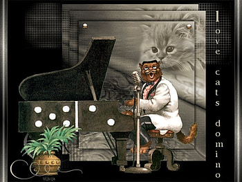 love cats, cats, fantasy HD wallpaper