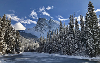 Mountain Lake at Winter, spruces, mountains, ice, lake, winter HD wallpaper