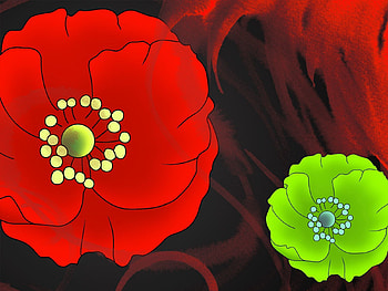 Abstract, Patterns, Flower, Bright, Petals HD wallpaper
