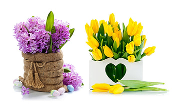 Flowers, Flowrs, leaf, nature, tree HD wallpaper